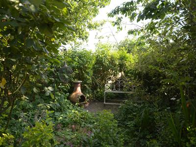 Picture 21